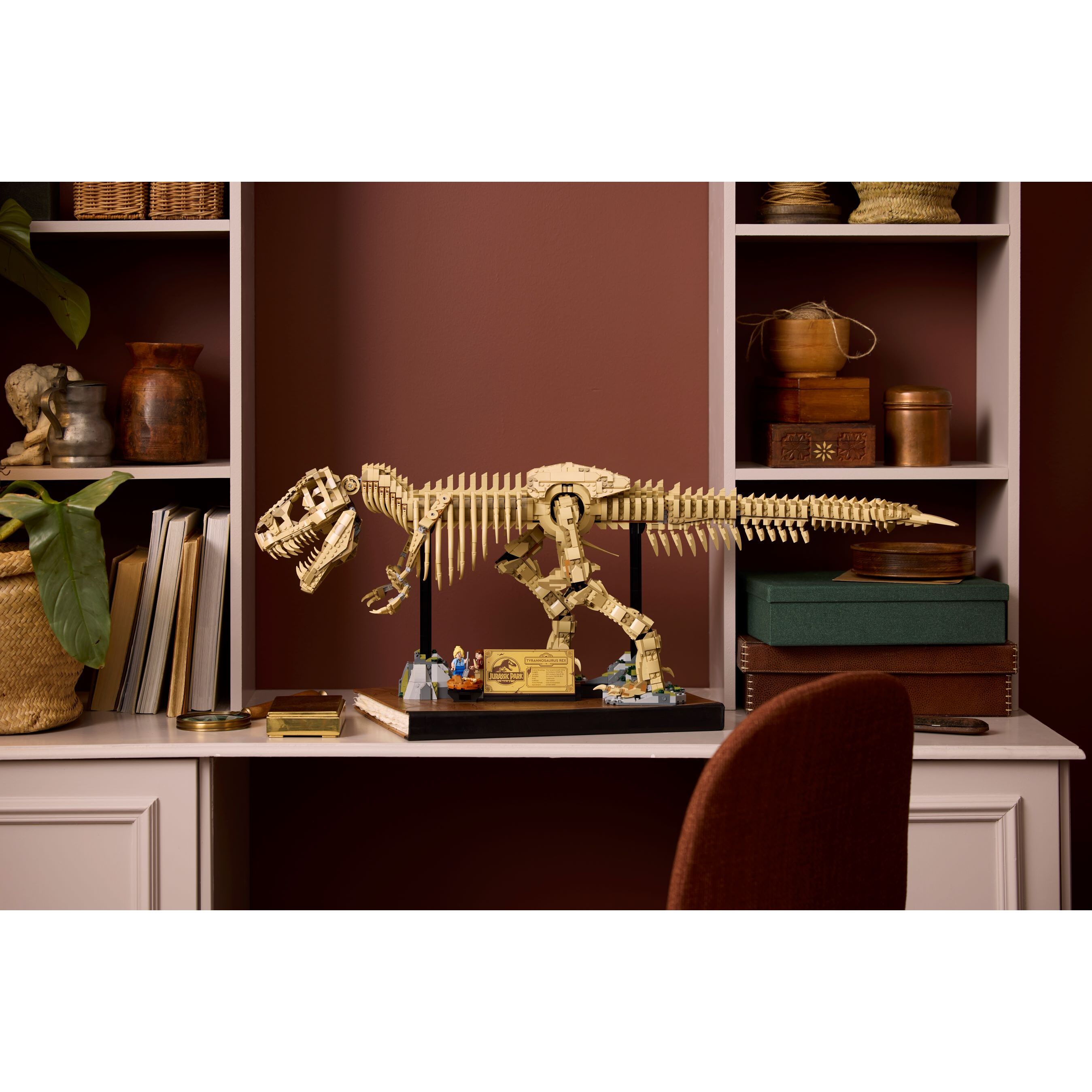 Dinosaur Fossils: Tyrannosaurus Rex - Image 11