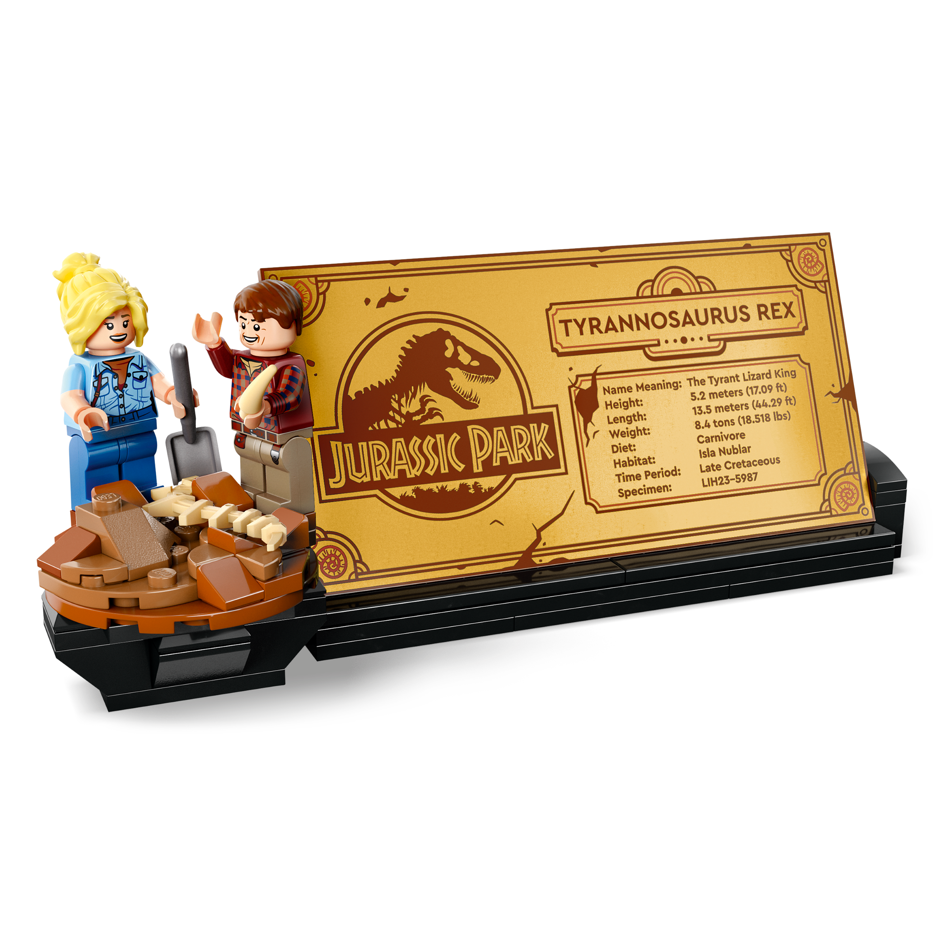 Dinosaur Fossils: Tyrannosaurus Rex - Image 5