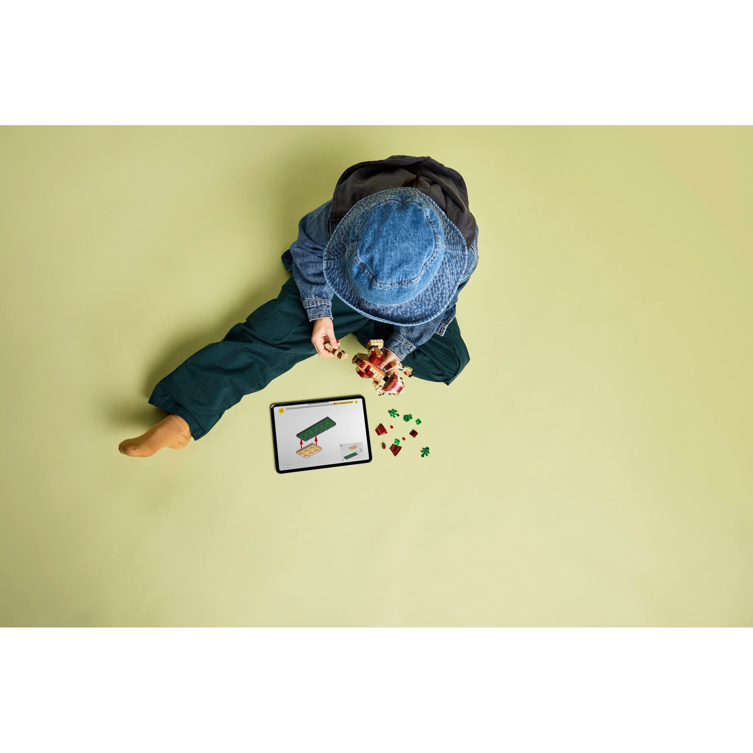 Baby Dinosaur Dolores: Aquilops - Image 10