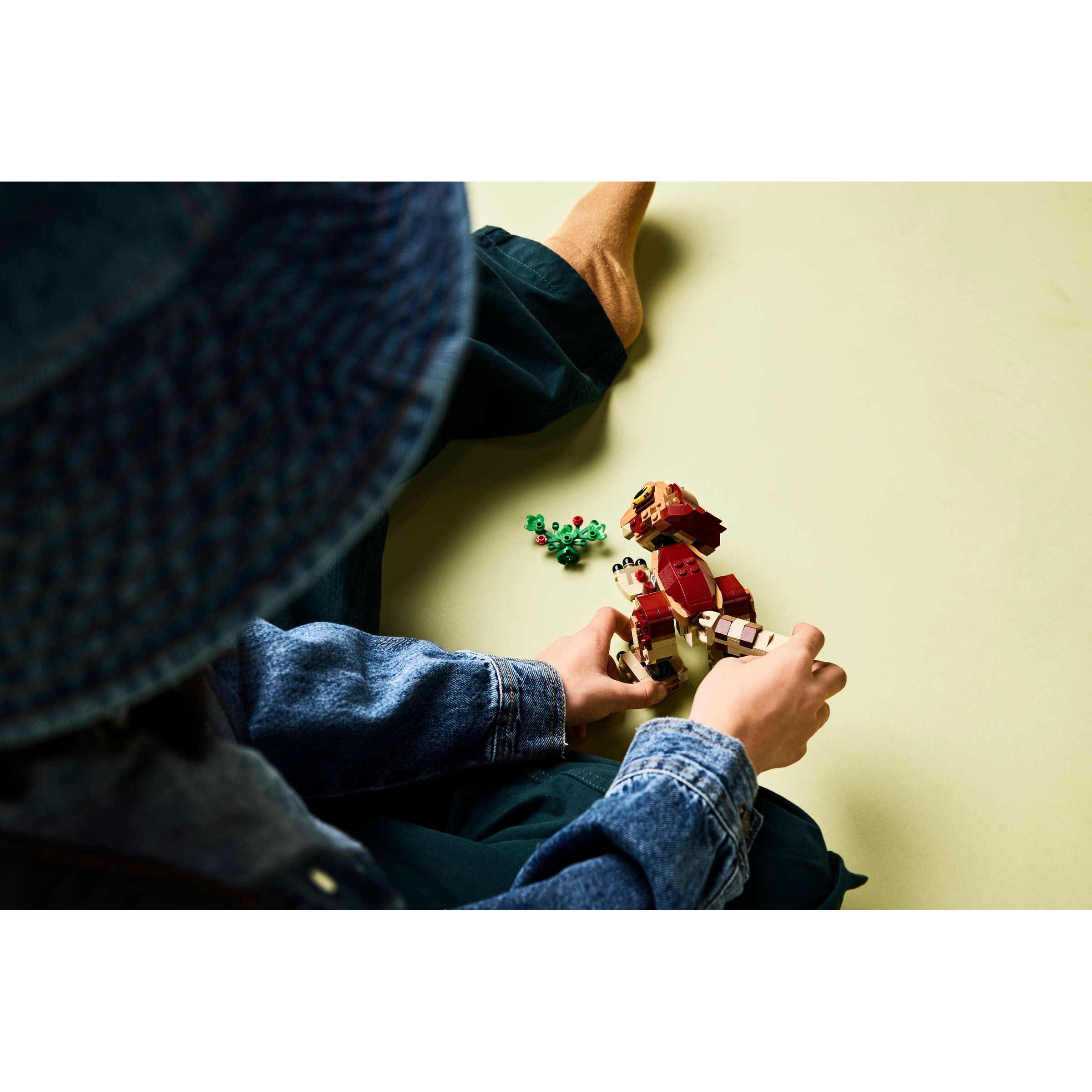 Baby Dinosaur Dolores: Aquilops - Image 8