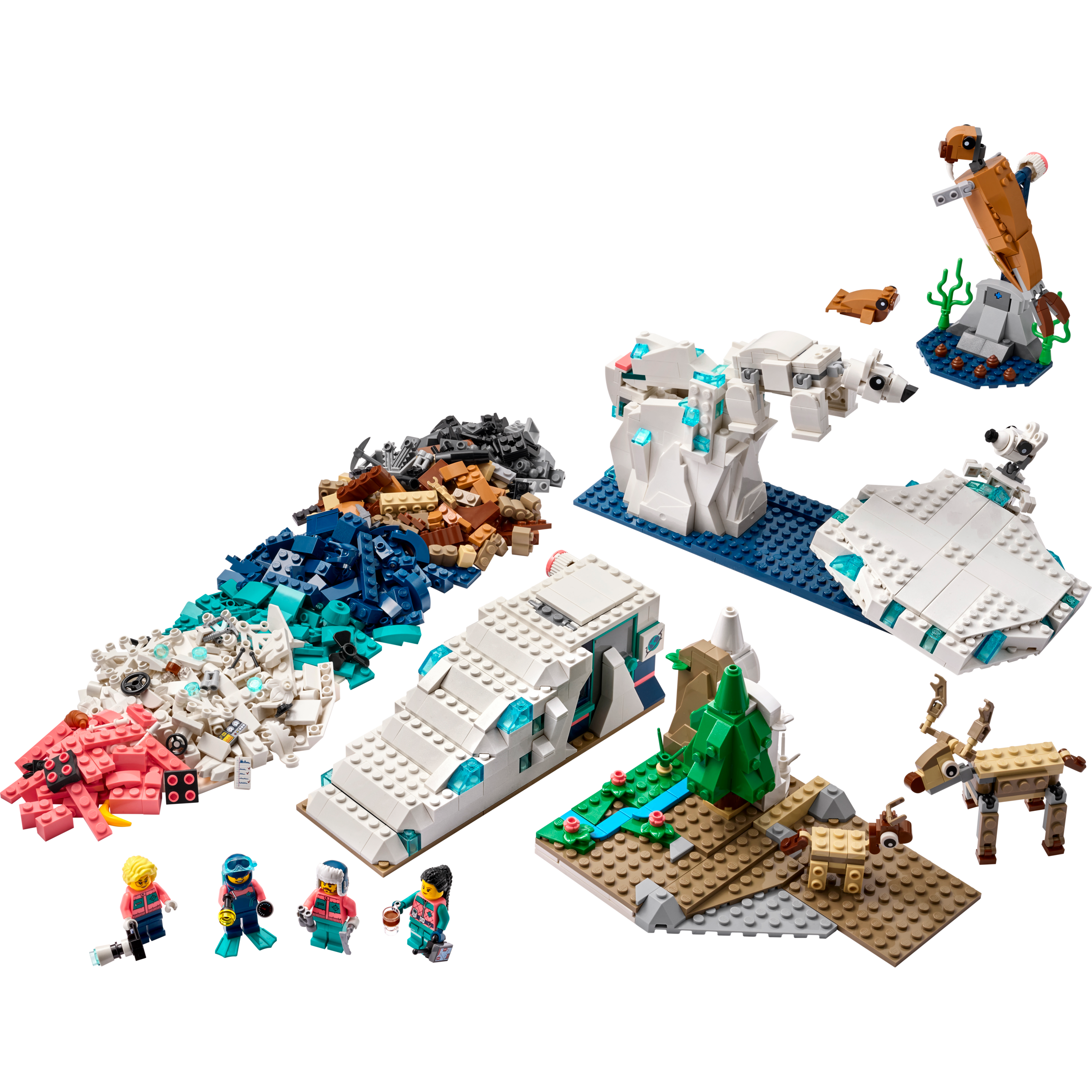 Arctic Animals Science Kit