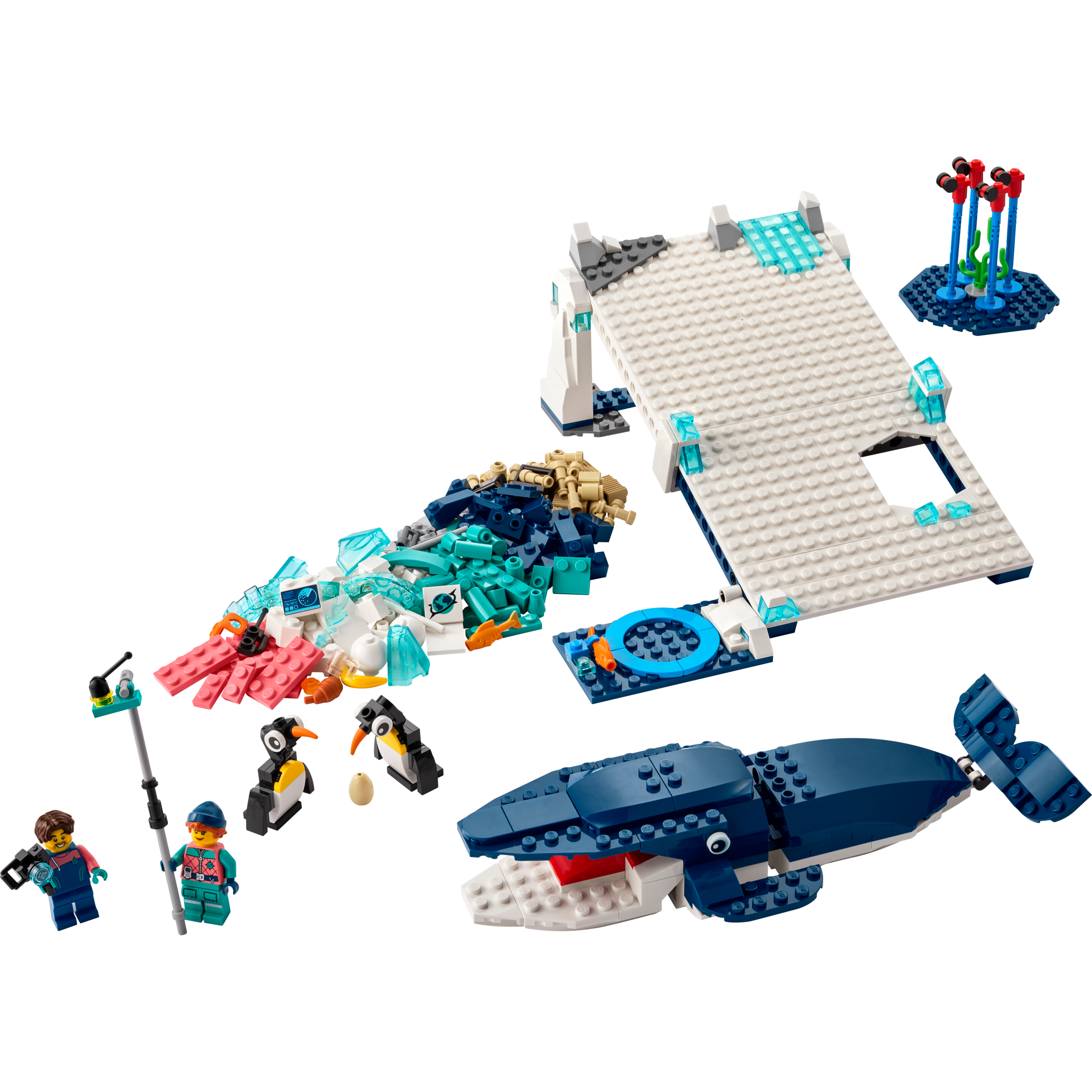 Antarctic Animals Science Kit